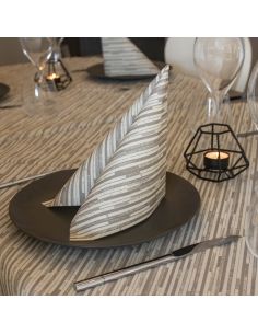 Tovaglioli in Airlaid Back Creta 40x40 pz.800 2