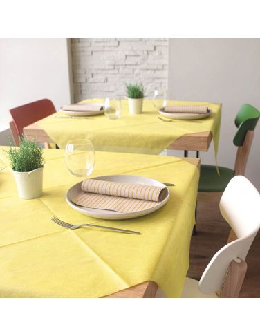 Coprimacchia 100x100 in tnt colore...